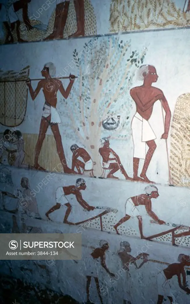 Menna Tomb Relief: Farming Thebes Egyptian Art 