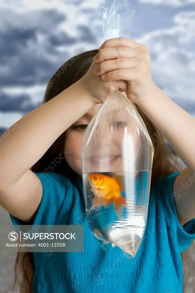 Girl watching goldfish in a plastic bag