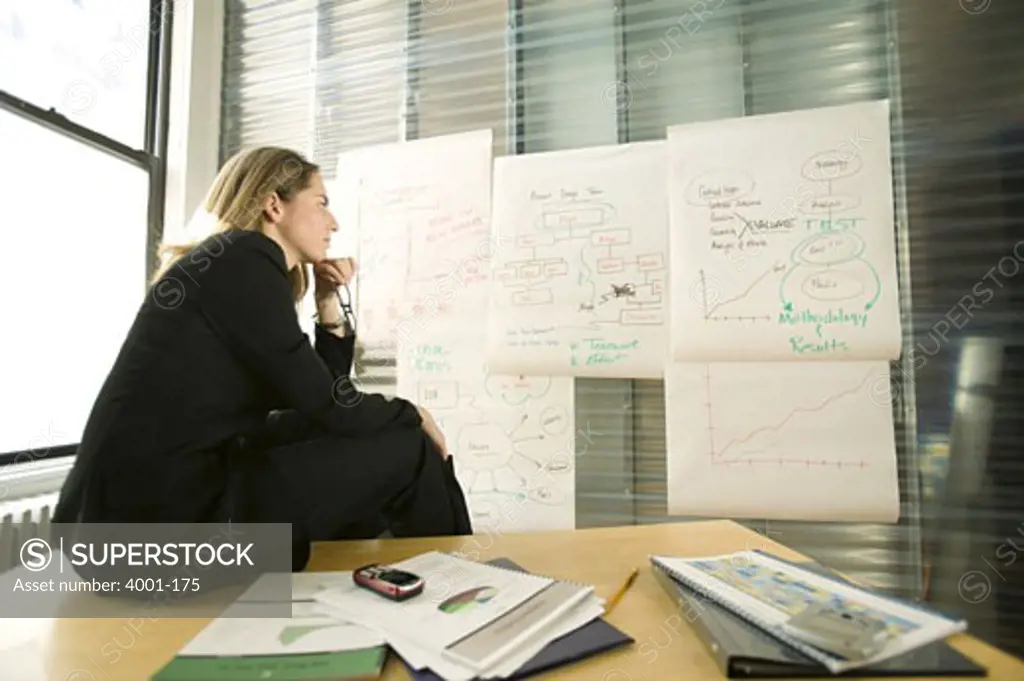 Businesswoman looking at flipcharts in an office