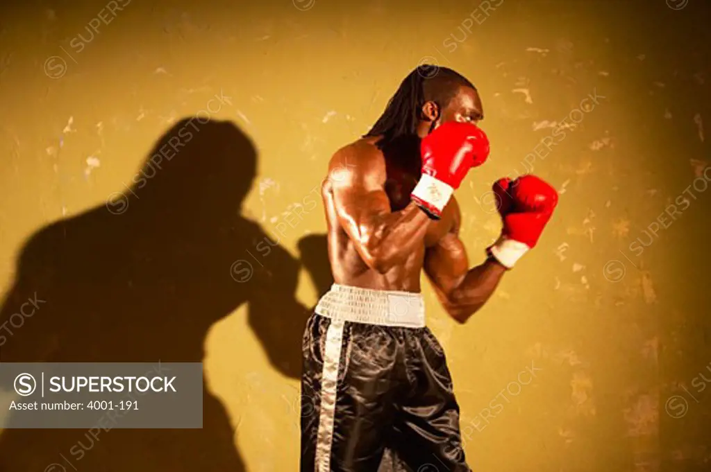 Boxer practicing boxing