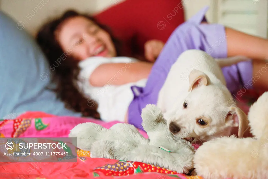 Young girl on bed with puppy - dogs