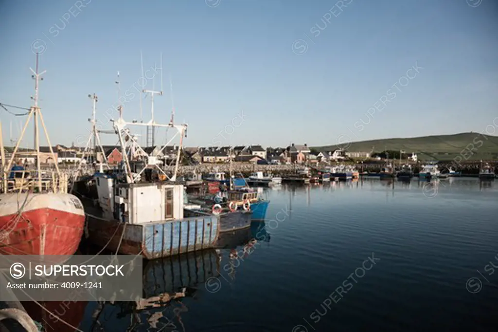 Fishing boats docked at the Harbor, Dingle, Dingle Peninsula, County Kerry, Republic of Ireland
