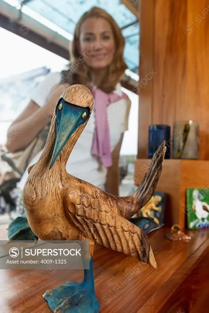 Ecuador, Galapagos Islands, Blue-footed Booby on counter at souvenir shop, woman in background looking at sculpture