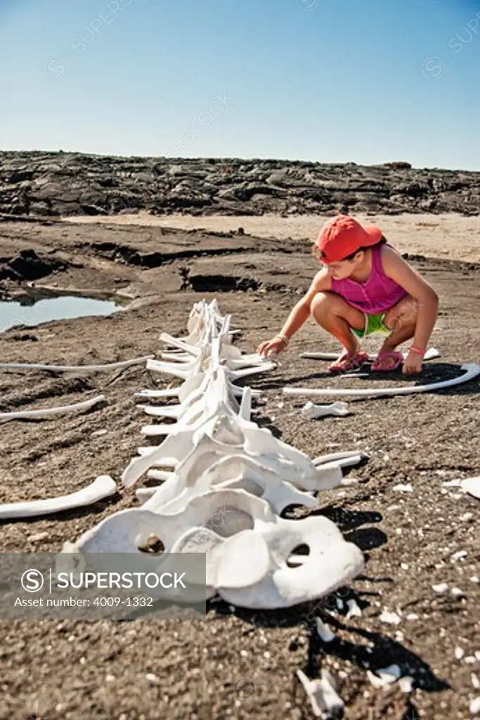 Ecuador, Galapagos Islands, Girl inspecting animal skeleton on beach