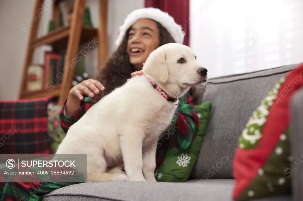 A young girl sitting on couch with puppy on her lap as a Christmas present.