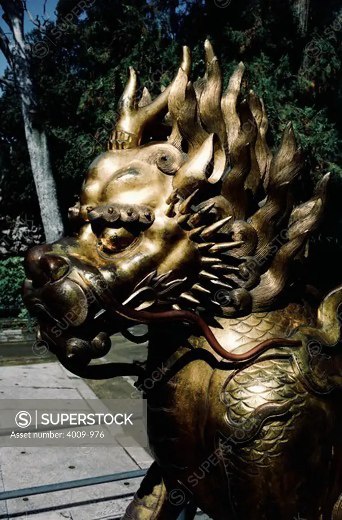 Gilded lion in front of the Palace of Tranquil Longevity, Forbidden City, Beijing, China