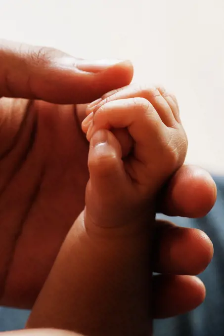 Close up of baby's hand holding adult's hand
