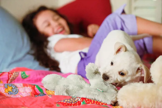 Young girl on bed with puppy - dogs
