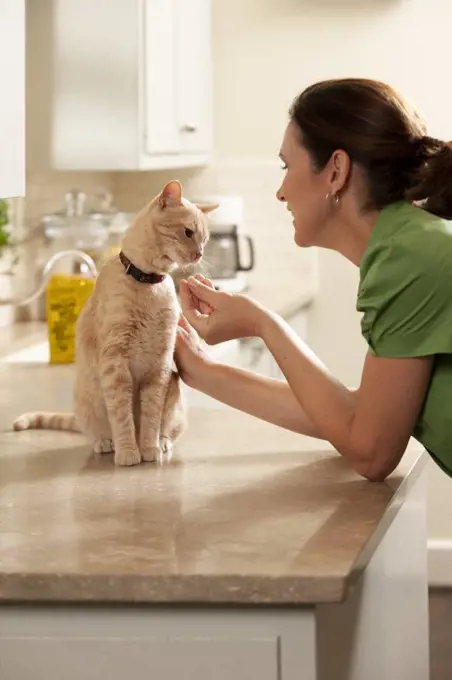 Middle Aged caucasian woman giving her cat a treat in the Kitchen, cat sitting on counter smelling treat in woman's hand