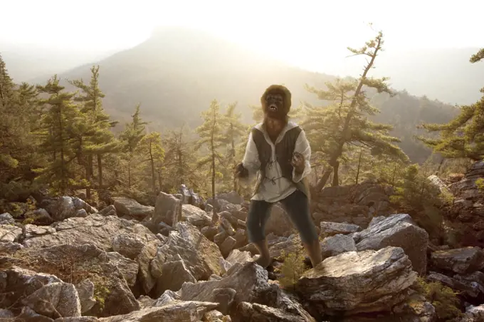 Wolfman howling in agony while standing on rocks in the woods at sunrise