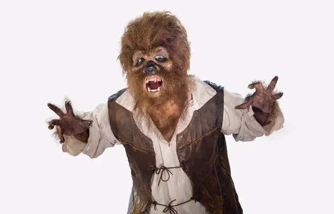 Portrait of a Werewolf Wolfman screaming and showing fangs. Man in Halloween costume on white background