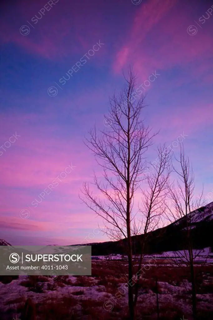USA, Colorado, Crested Butte, Scenic sunset