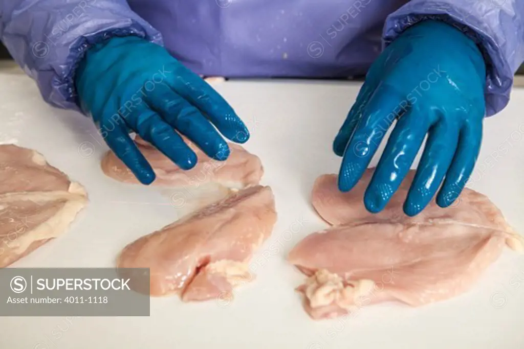 Laser cutting chicken breasts on processing line