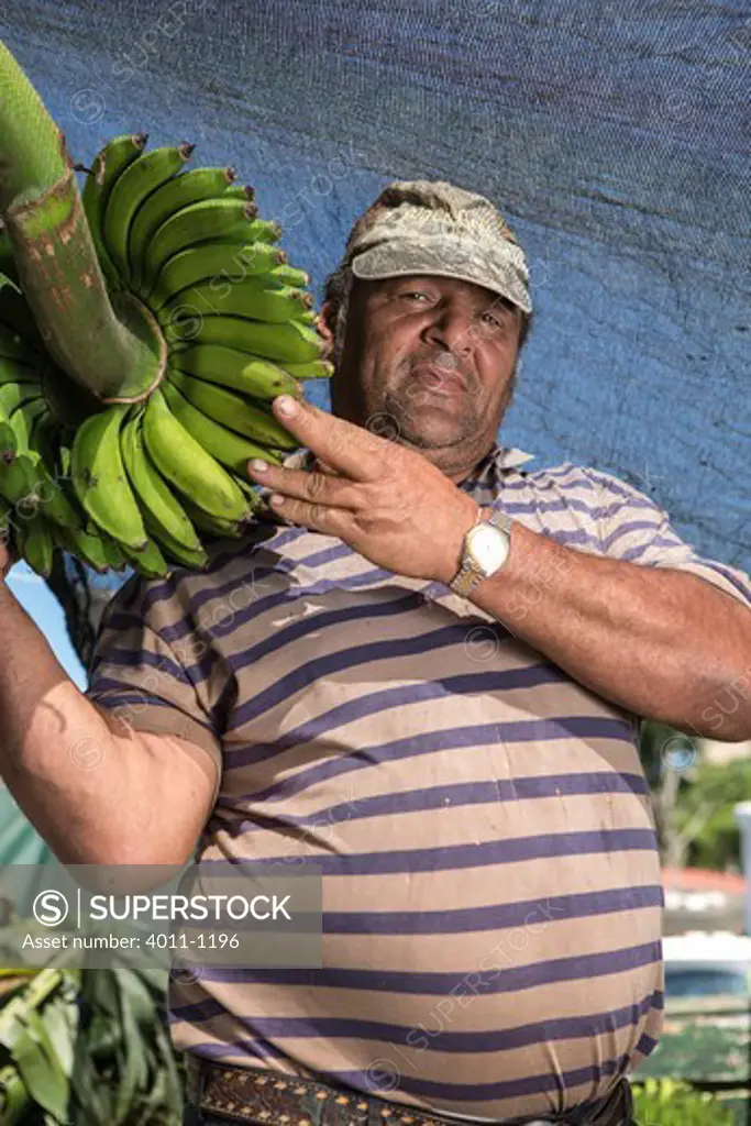 Farmer holding a stalk of unripe plantains, Costa Rica