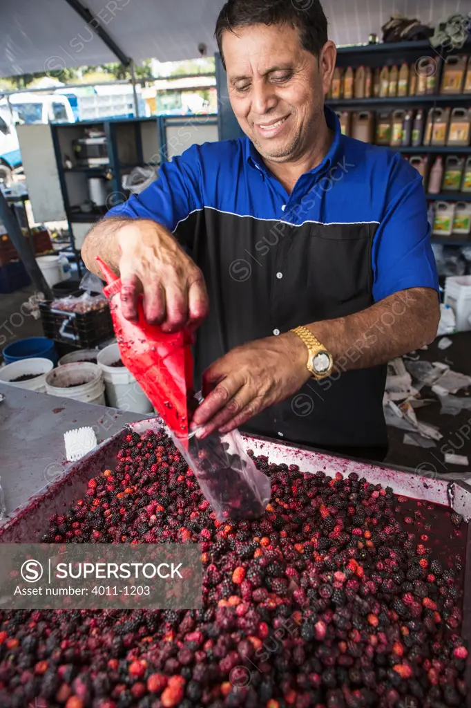 Market vendor bagging moraberries for sale at a market stall, Costa Rica