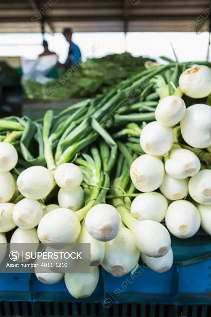 Spring onions at a market for sale, Costa Rica