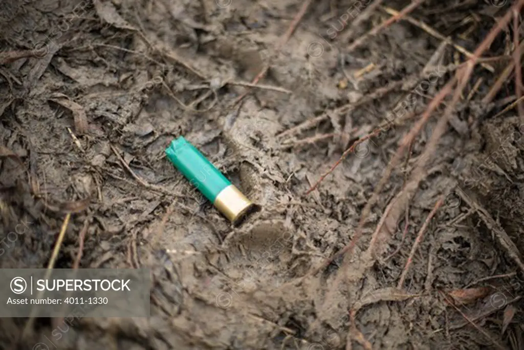 Ejected shotgun shell in mud