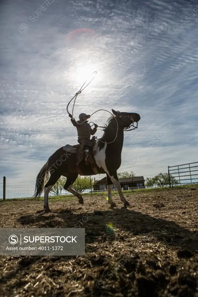 Young cowboy swinging his lasso atop horse