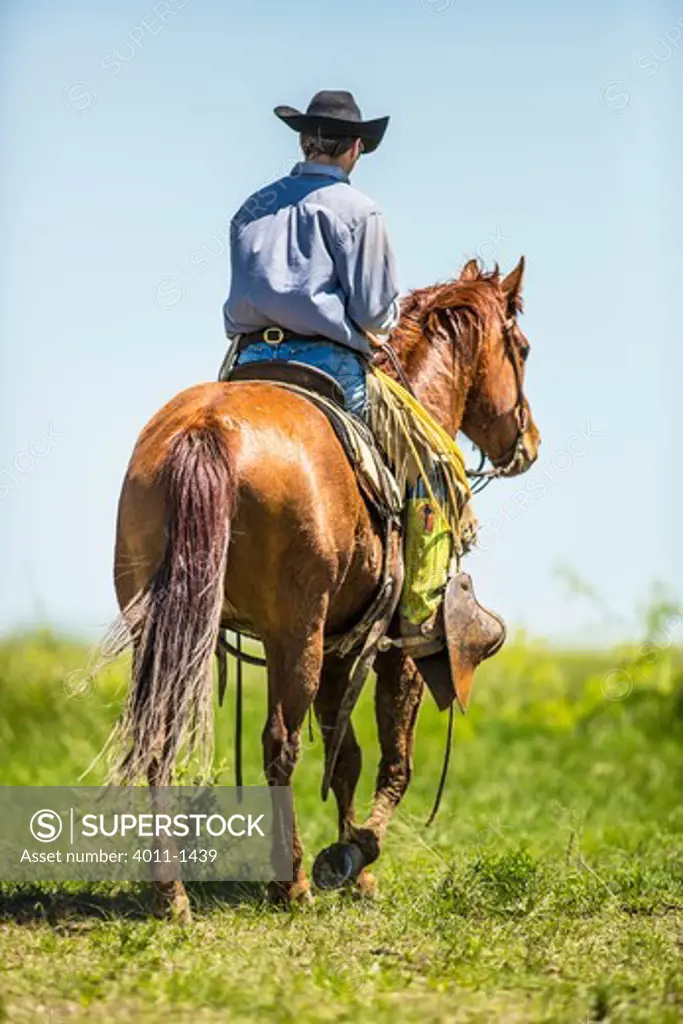 Cowboy riding horse in field