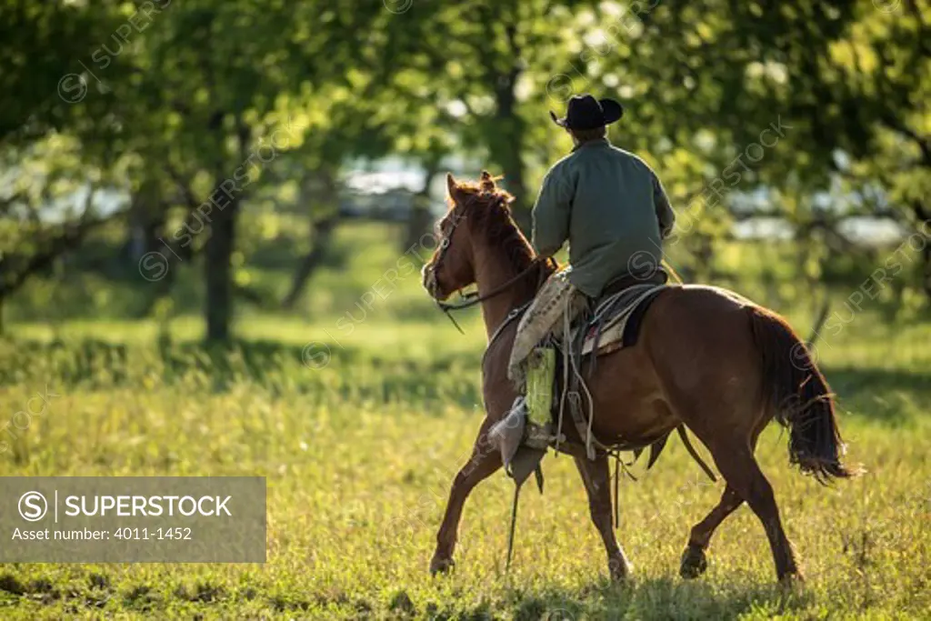Cowboy riding horse down fence line