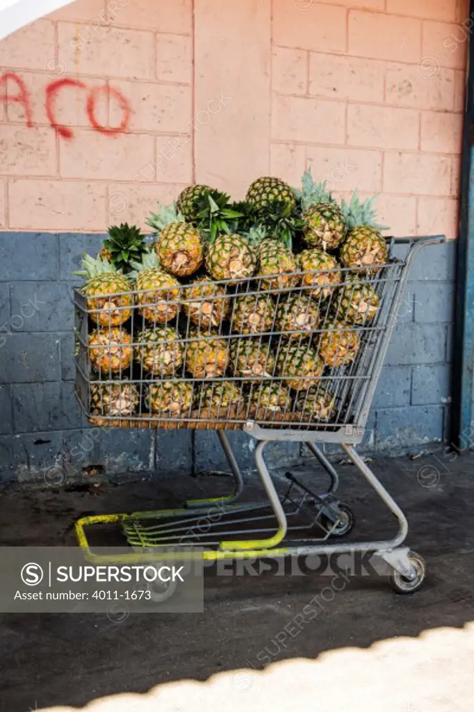 Costa Rica, Shopping cart full of pineapples at outdoor market