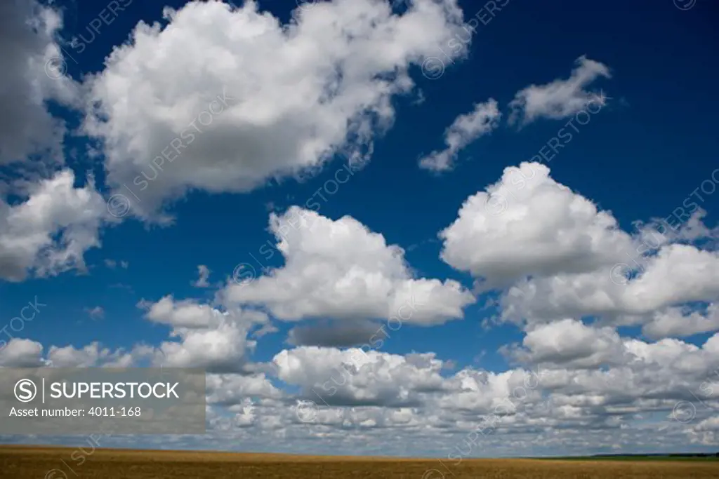 USA, Texas, Little puffy clouds in a big sky