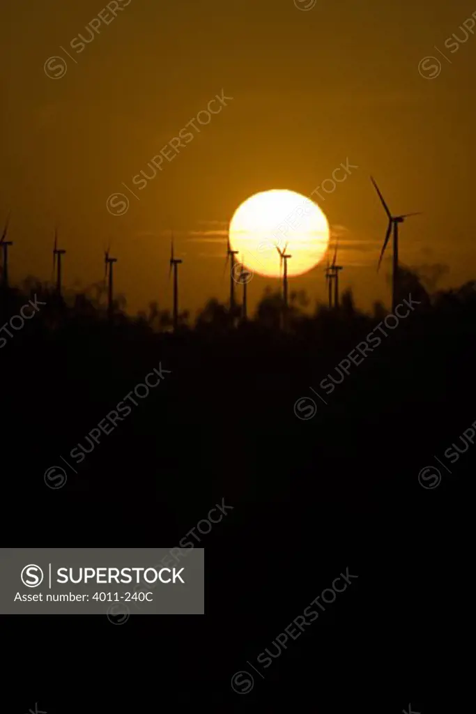 USA, Texas, Roscoe County, silhouettes of wind turbines at sunset