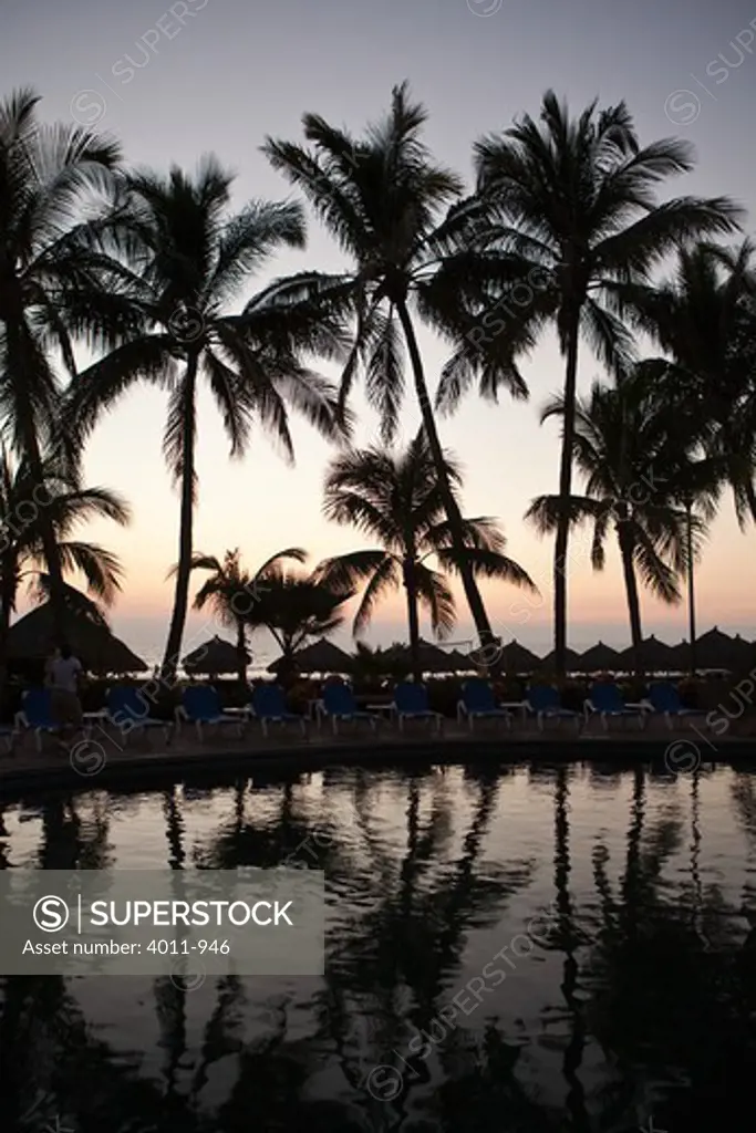 Silhouette of palm trees by the pool, Puerto Vallarta, Mexico