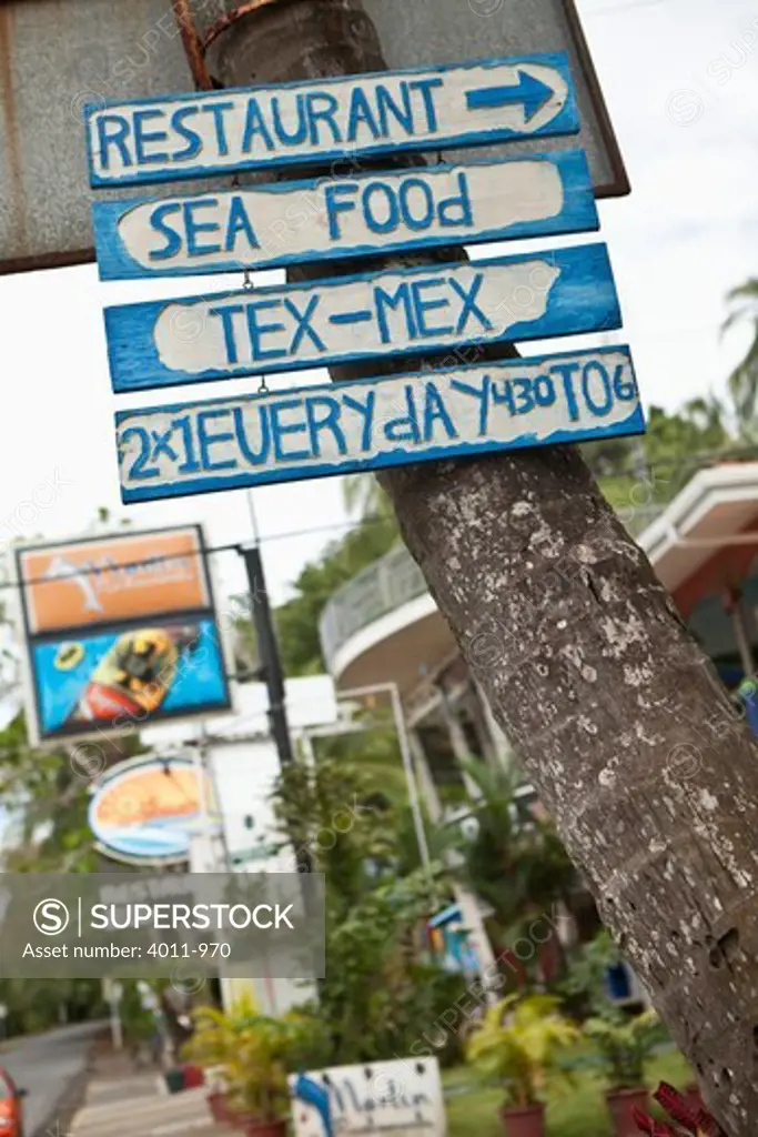Directional signs nailed to a tree in Costa Rica