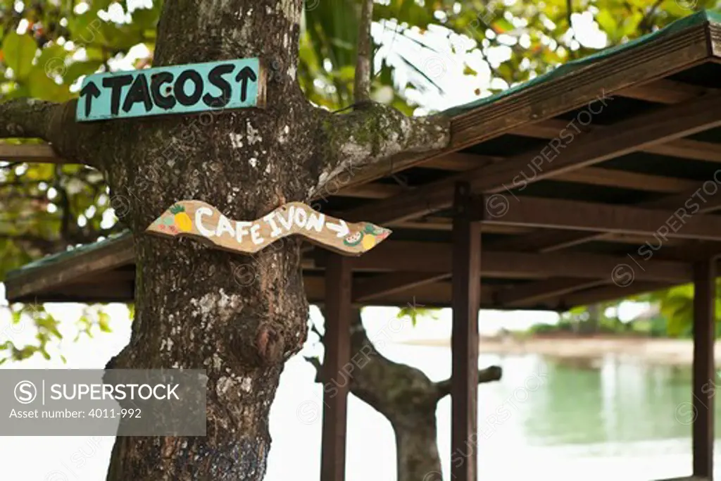 Signs at tree on the beach, Costa Rica