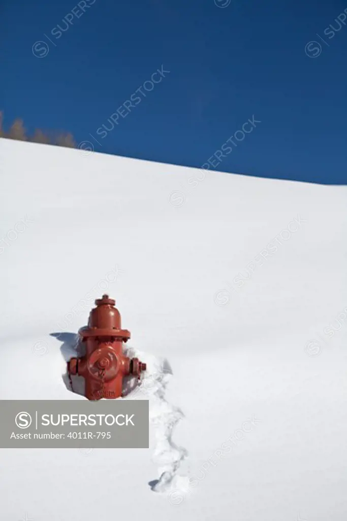 Fire hydrant buried in snow