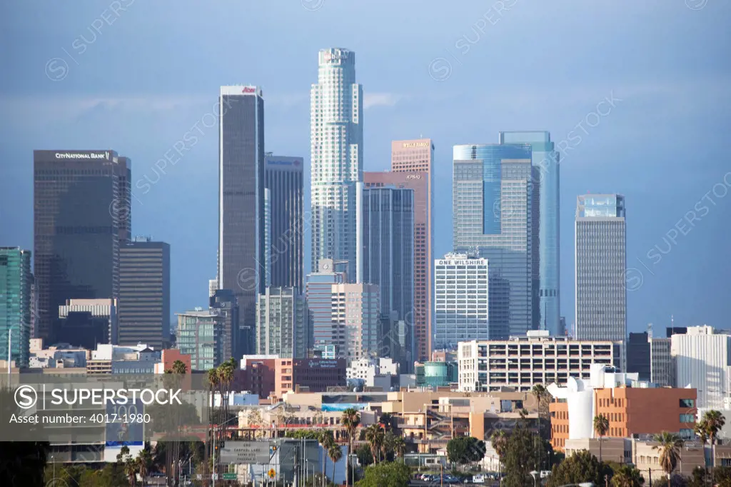 Downtown Los Angeles Skyline from Exposition Park
