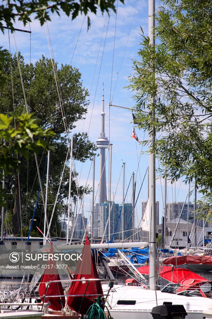 Sailboats at dock with skyline in the background, Toronto Island, CN Tower, Lake Ontario, Toronto, Ontario, Canada