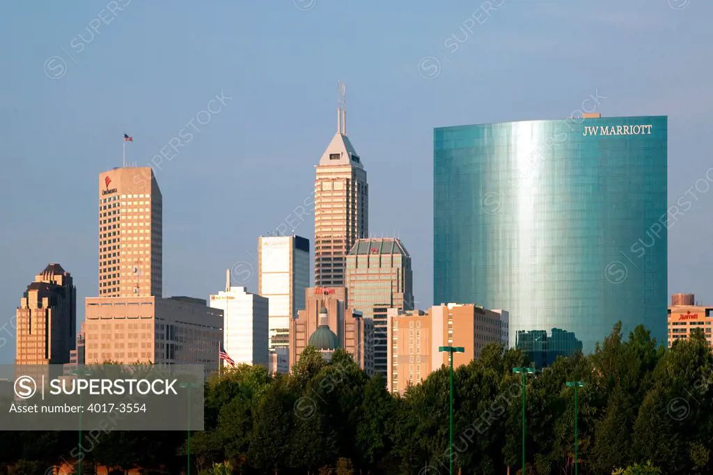 Downtown Indianapolis Skyline from the Zoo