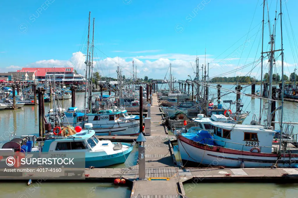 A large number of fishing boats moored in a marina in Richmond BC Canada with the Charthouse Restarunt in distance