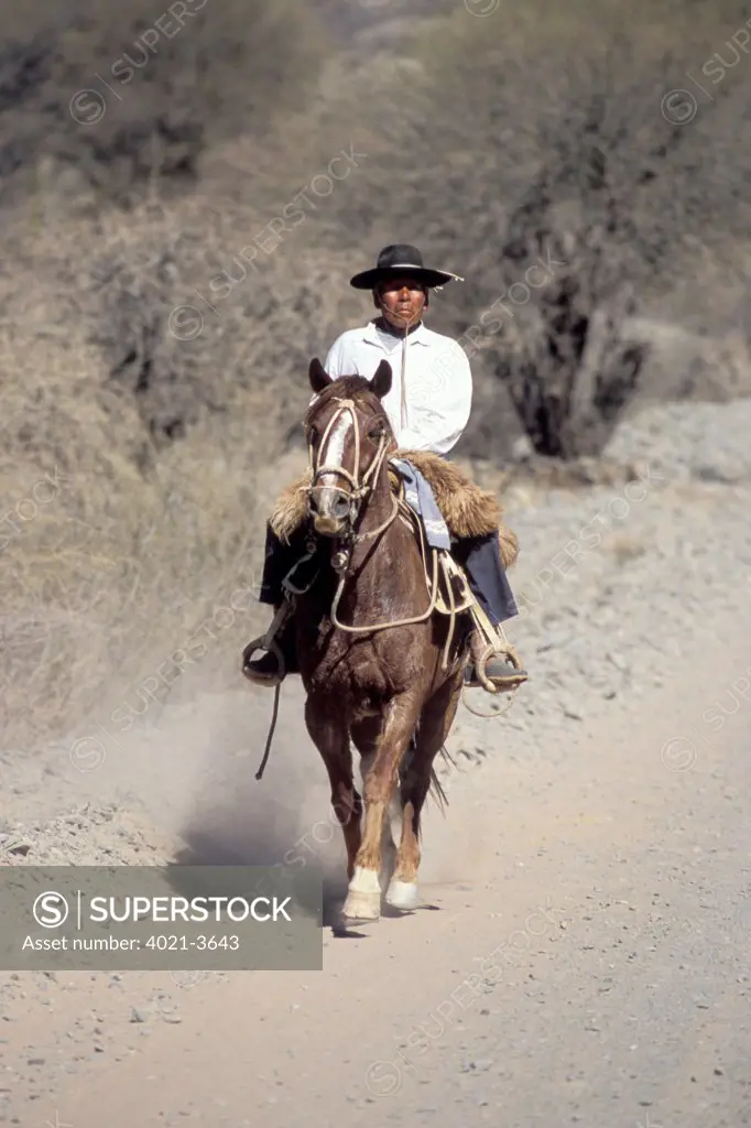 Gaucho on his way home near Calafate, Atacama Desert, Argentina