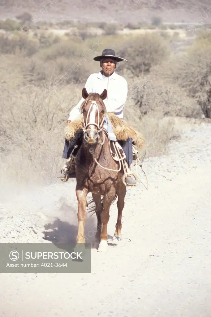 Gaucho on his way home near Calafate, Atacama Desert, Argentina