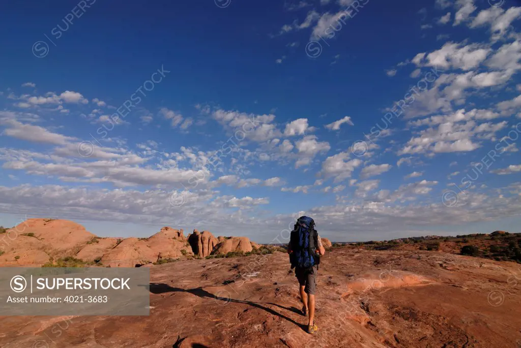 Tourist hiking on a trail, Slickrock Trail, Arches National Park, Moab, Utah, USA