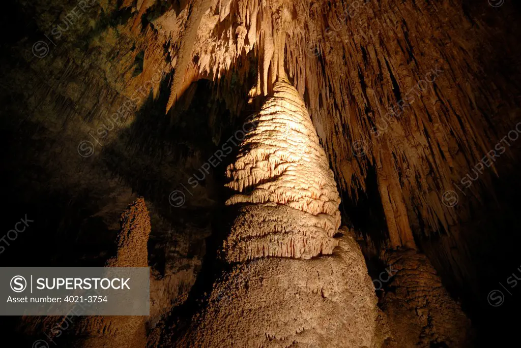 Stalactites and stalagmites formation in a cave, Carlsbad Caverns National Park, New Mexico, USA
