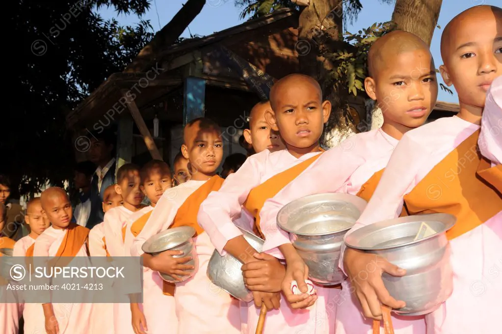 Female monks waiting in a row for food in the early morning, Pyay, Bago Region, Myanmar