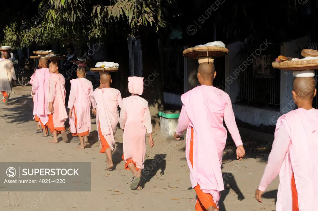 Female monks collecting food, Pyay, Bago Region, Myanmar
