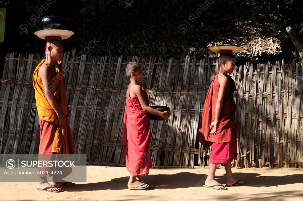Monks on their way home after collecting the daily food ration, Pyay, Bago Region, Myanmar