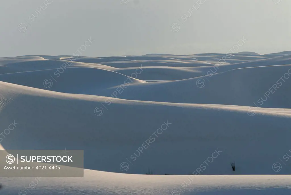 Gypsum sand dunes in the White Sands National Monument, New Mexico, USA