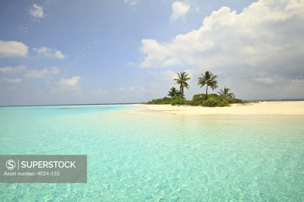 Palm trees on the beach, Mathidhoo Island, North Huvadhoo Atoll, Maldives