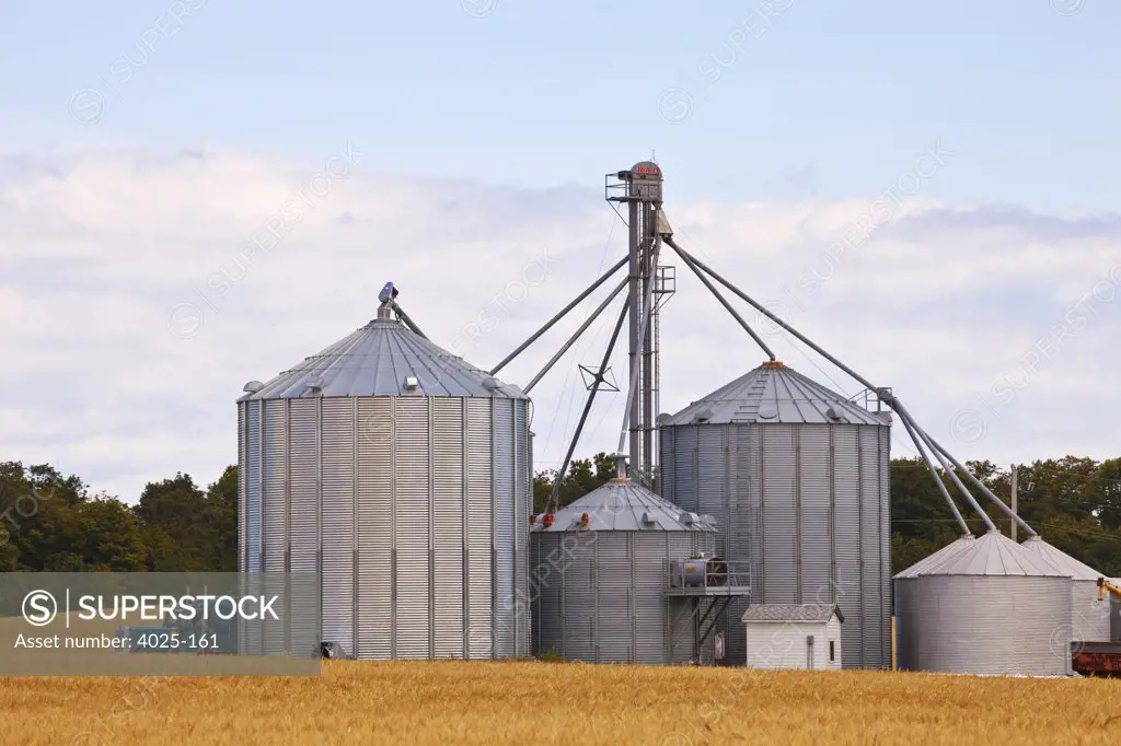 Grain silos in a wheat field, Vineland, Niagara Region, Ontario, Canada