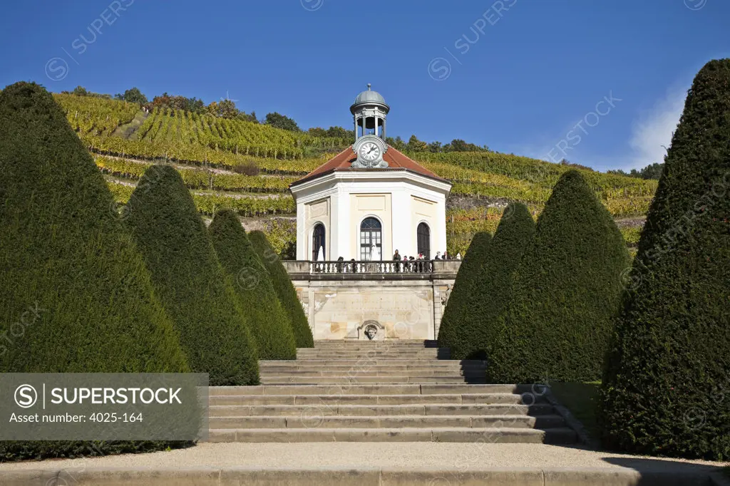 Castle with vineyard in the background, Wackerbarth Castle, Radebeul, Elbe Valley, Saxony, Germany