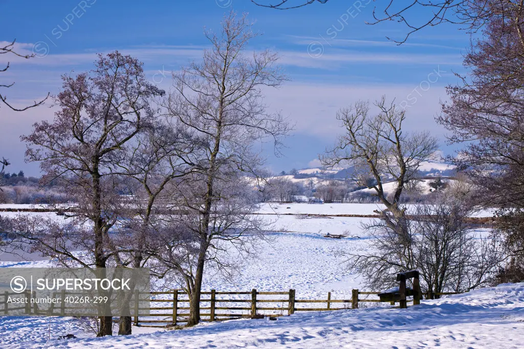 Great Britain, Wales, Carmarthenshire, Llandeilo, river Towy near Dryslwyn in winter