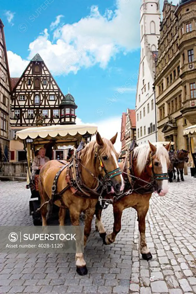 Rothenburg ob der Tauber, Germany, Horse drawn carriage tourists take into town.
