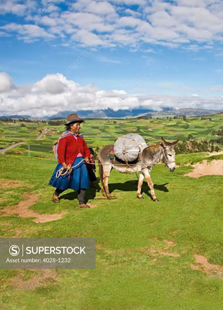 Cusco, Peru, A local woman in traditional clothing leads her mule through the Sacred Valley on the way to market.