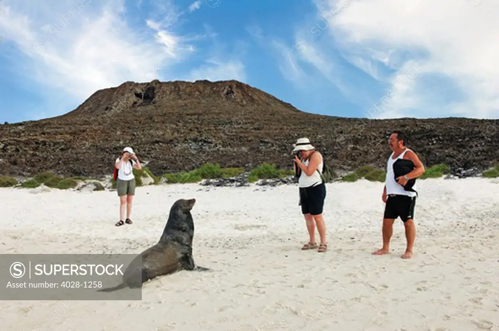 Tourists admire and take phots of a sea lion on the beach in the Galapgos Islands of Ecuador, South America